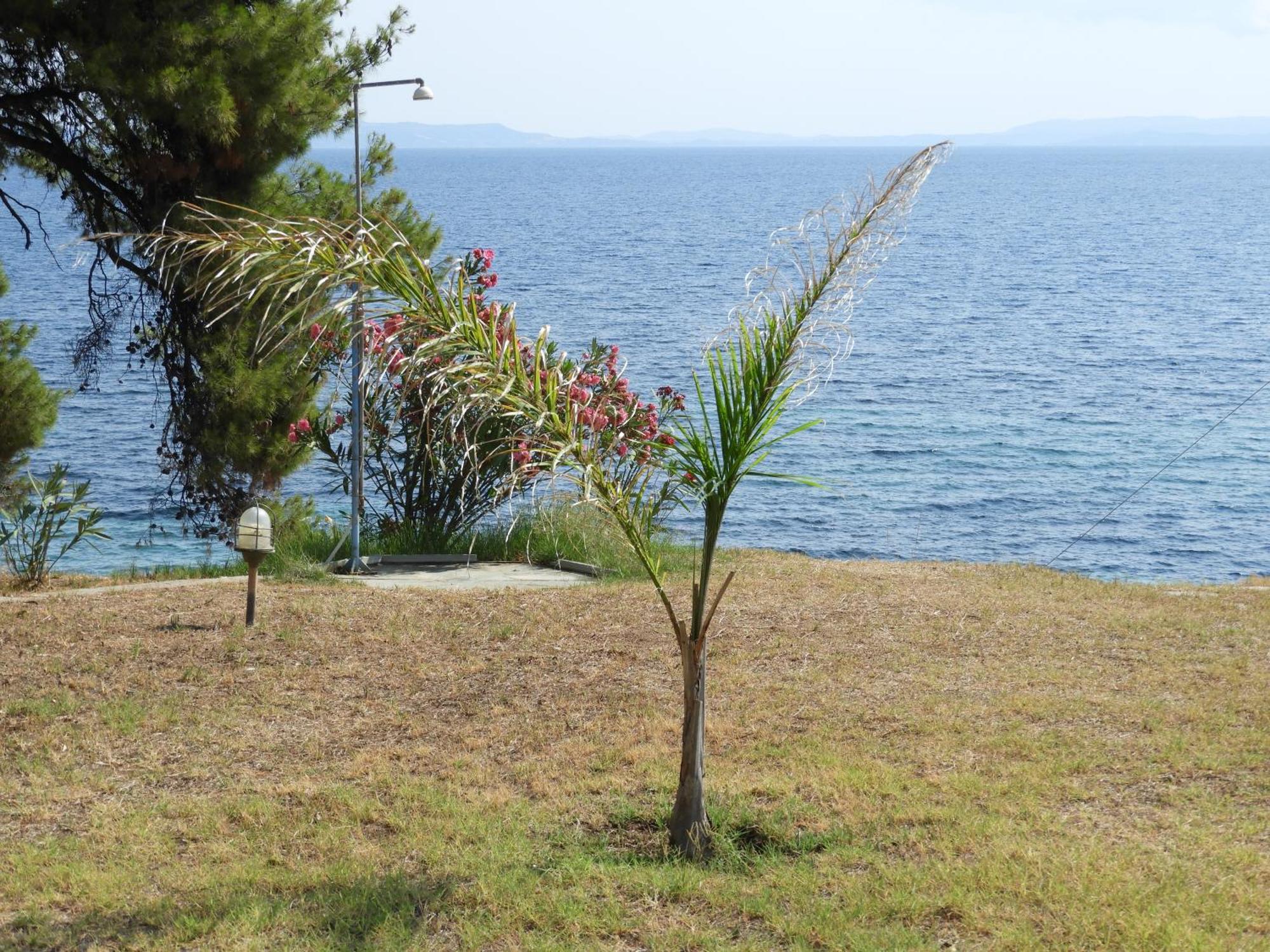Sangue Blu Beachfront Villa Apartment Agios Nikolaos  Esterno foto